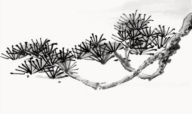 水墨松树枝图片