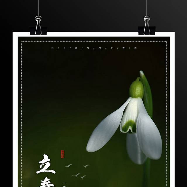 中华传统节气立春海报