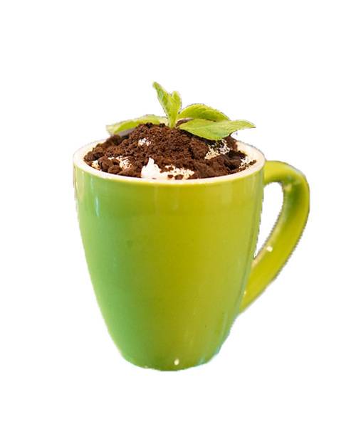 奶茶