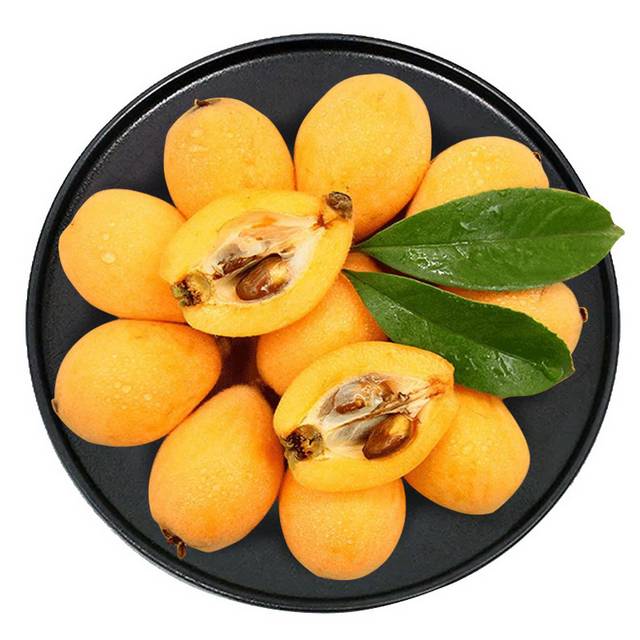 枇杷