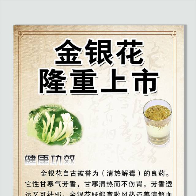 金银花功效介绍图片