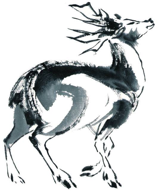 鹿素材