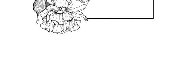 黑白花朵边框插画