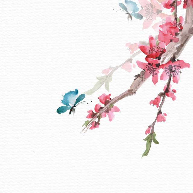 樱花