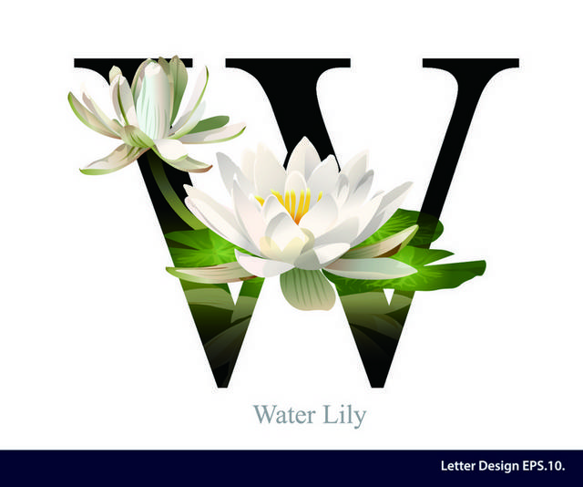 字母花