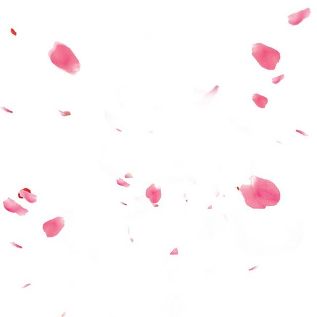 飞舞粉红花瓣