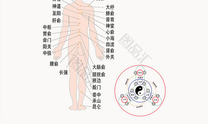 全身穴位經絡圖