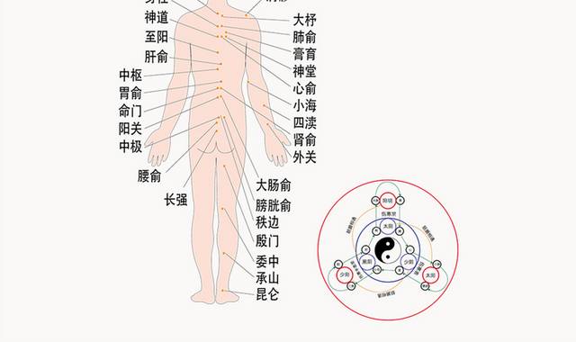 全身穴位经络图