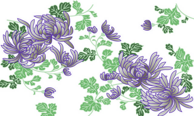 菊花