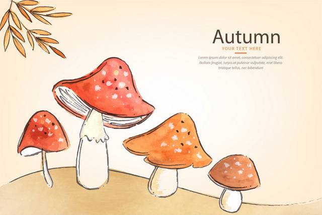 精美创意秋季落叶蘑菇素材
