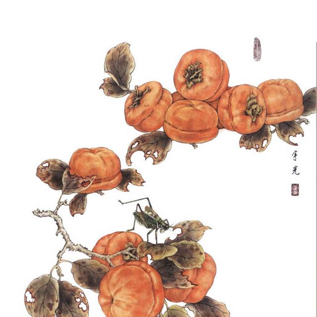柿子