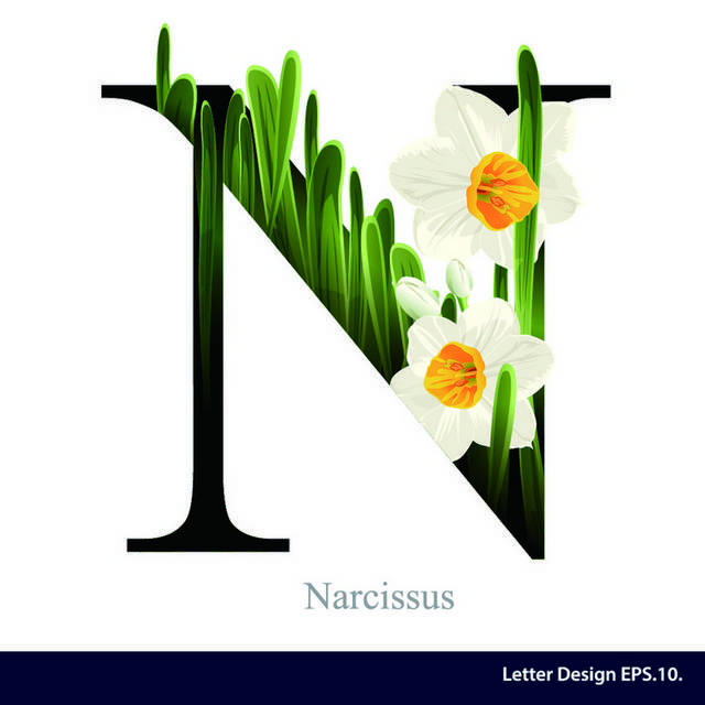 字母花