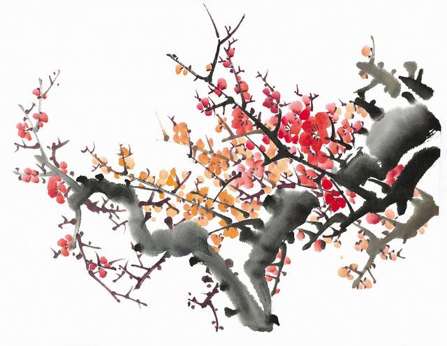 梅花图片