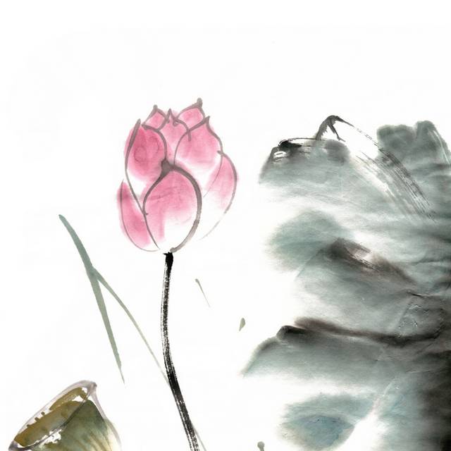 荷花
