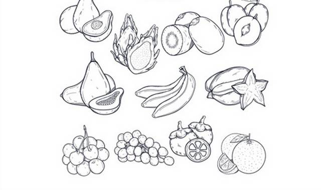 11款手绘水果设计矢量图