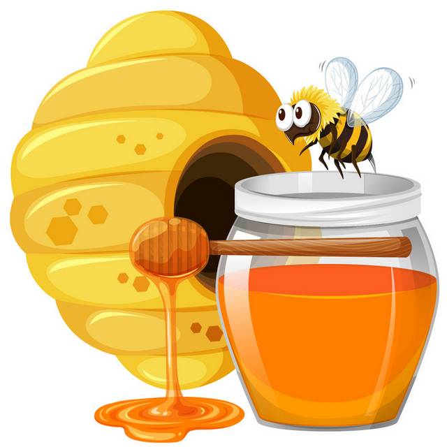 小蜜蜂素材
