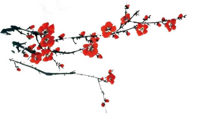 梅花素材