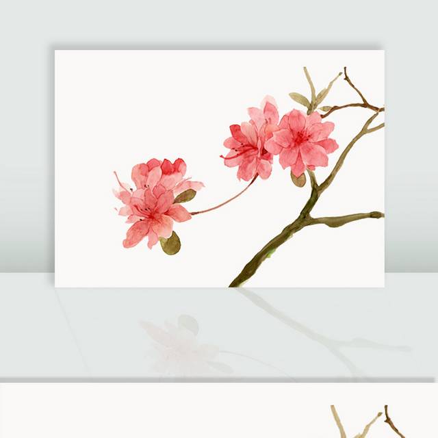 粉红色水彩花卉图片