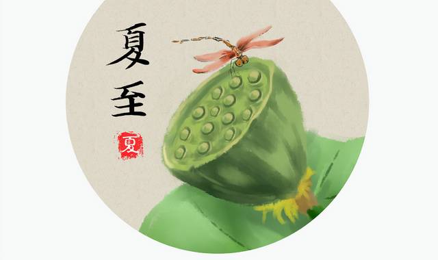 手绘中国风莲蓬蜻蜓夏至节气插画