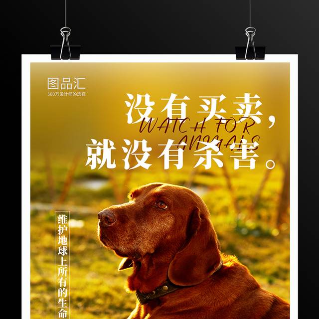 保护动物宣传海报