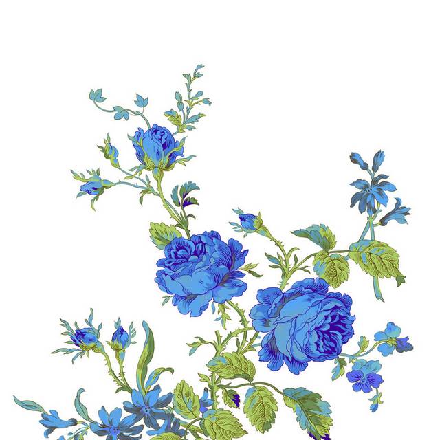 花卉图片