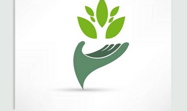 绿色叶子logo