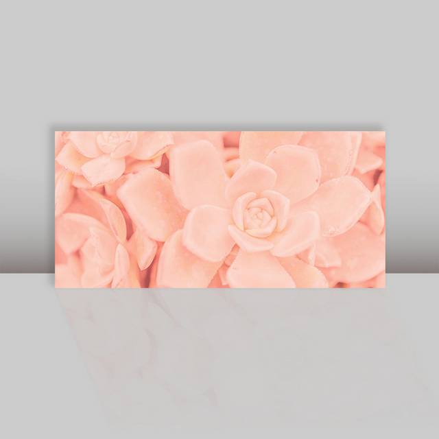 粉色花卉背景素材