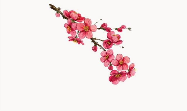 红色手绘鲜花花枝