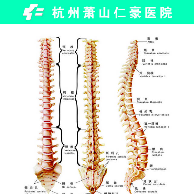 医疗