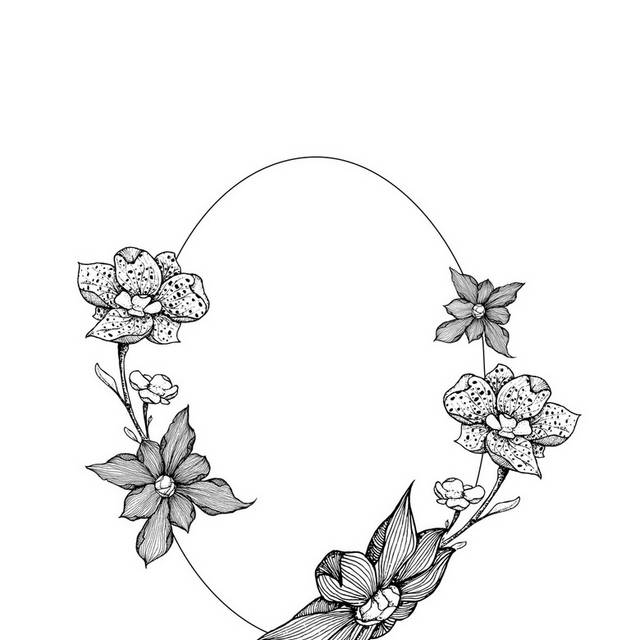 黑白花朵盆栽插画9
