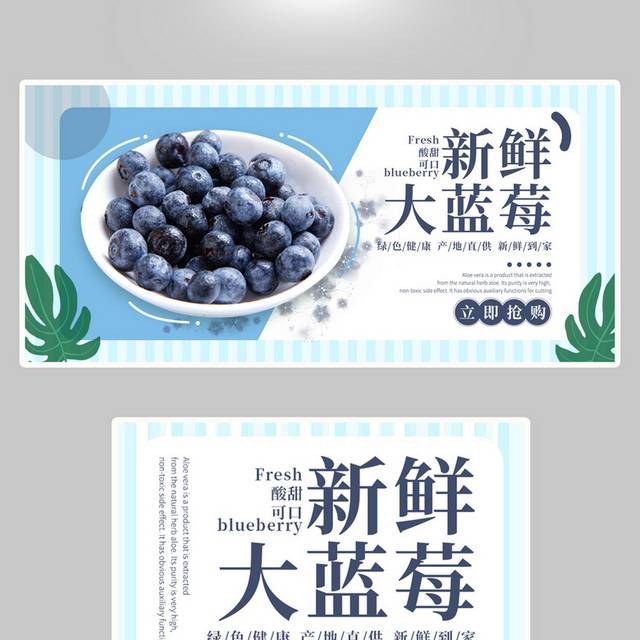 蓝莓banner