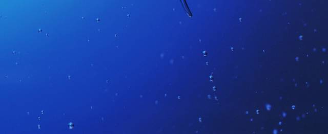 水