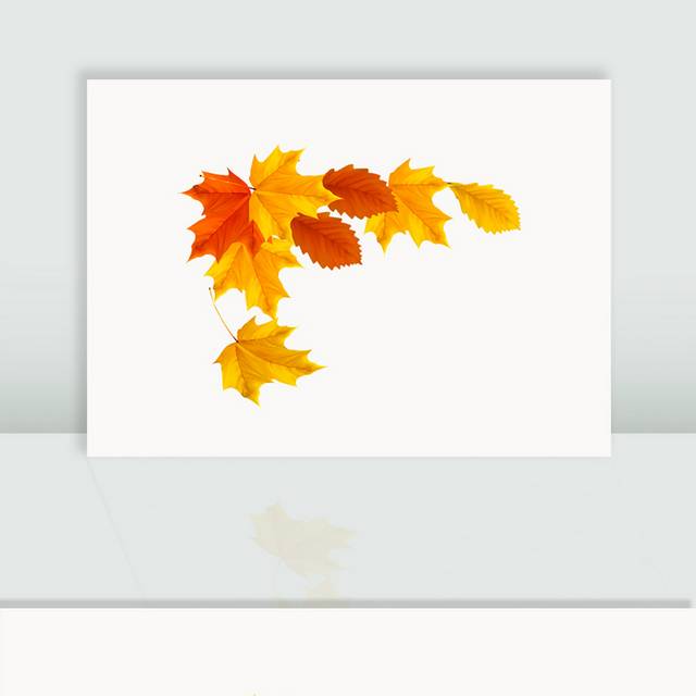 矢量秋天树叶图片