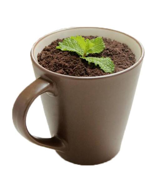 奶茶