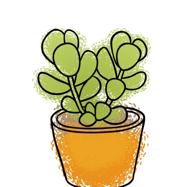 盆栽小植物插画21
