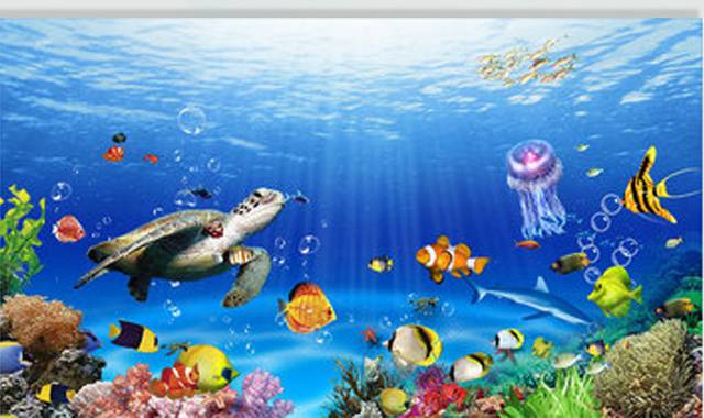 海底世界动物和礁石