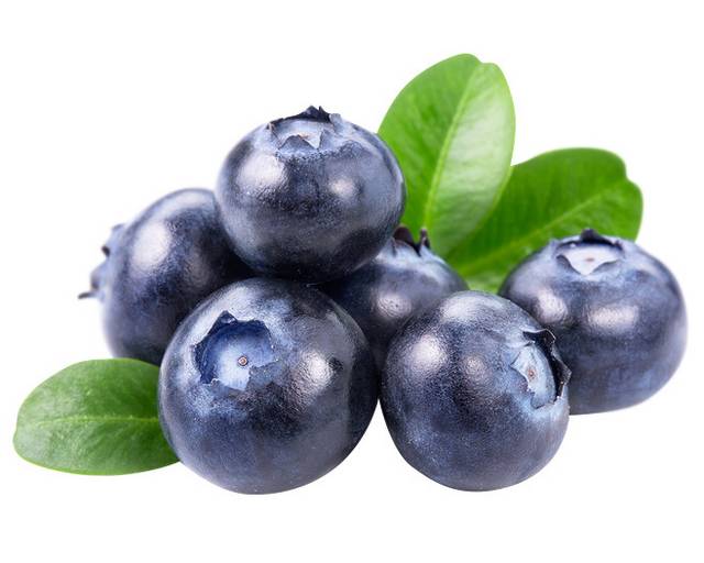 新鲜蓝莓