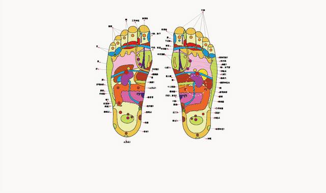 足底穴位图图片素材