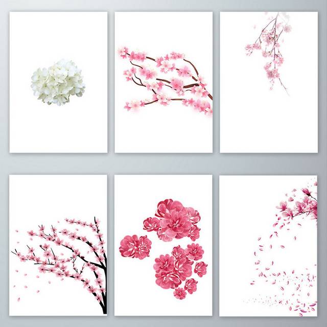 花卉图片