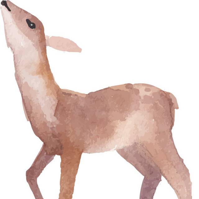 鹿素材