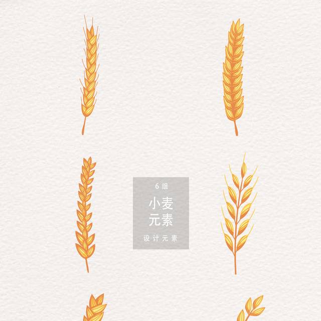 五谷稻穗