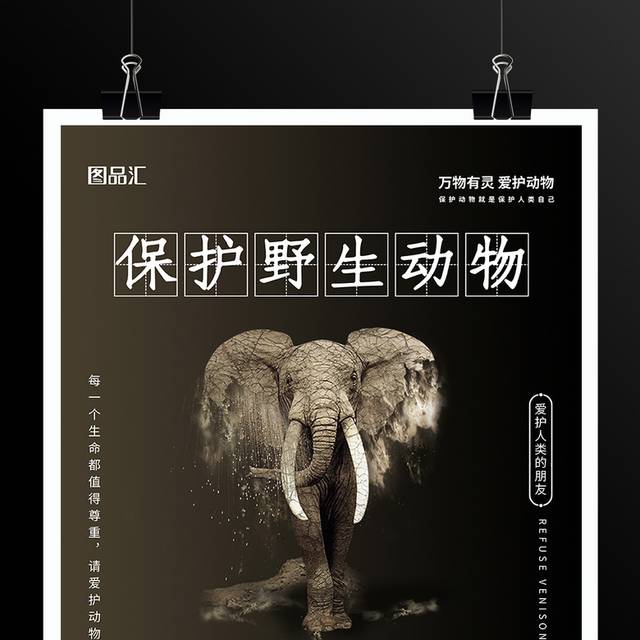 简约黑灰保护野生动物宣传海报