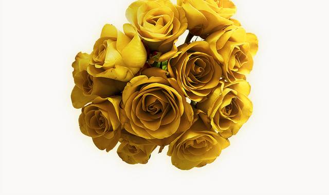 黄色玫瑰手捧花