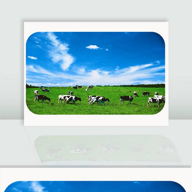牧场牛羊图片