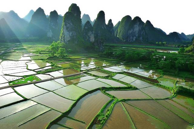 山