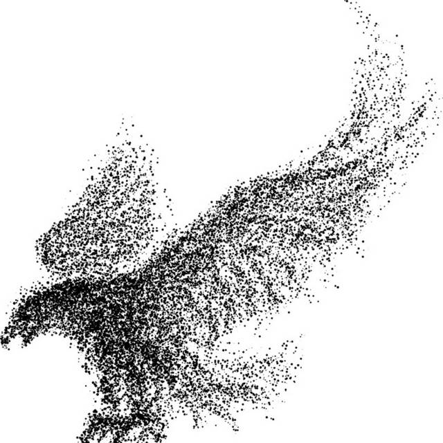 鸟