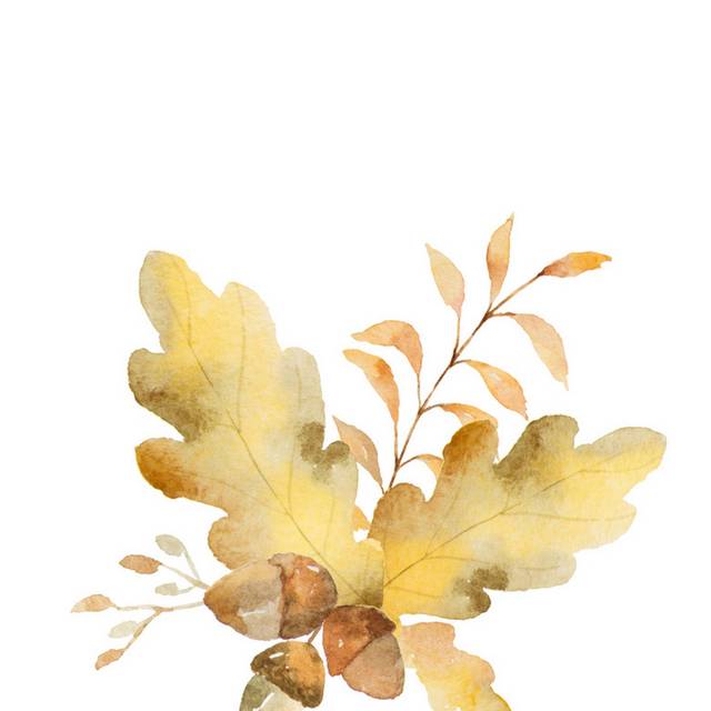 秋季金色树叶