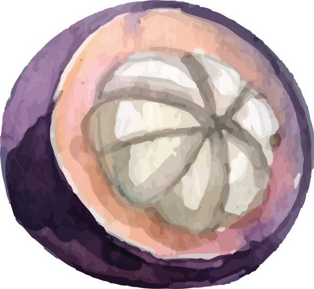山竹