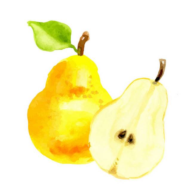梨子素材