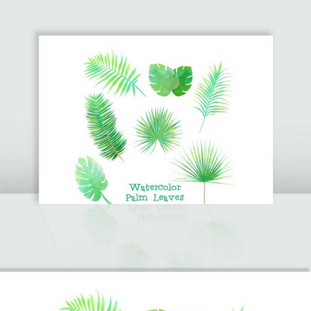 7款绿色热带植物叶子矢量素材